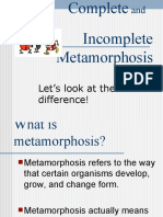 Complete vs Incomplete Metamorphosis