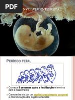 DESENVOLVIMENTO_FETAL -.ppt