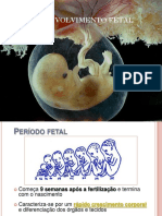 Desenvolvimento Fetal