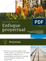 Enfoque proyectual (2)