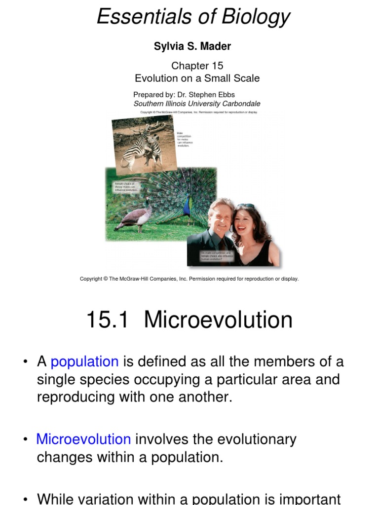 CH 15 Evolution On A Small Scale | PDF | Natural Selection | Evolution
