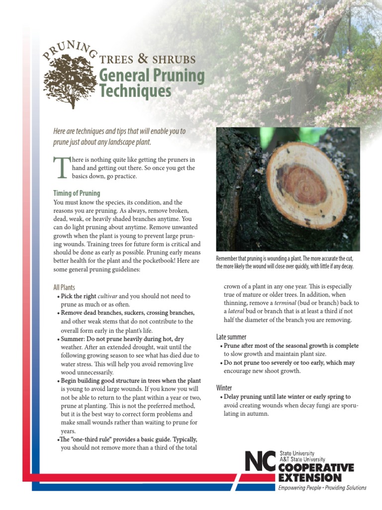 Pruning Techniques for Landscape Plants | PDF | Pruning | Trees