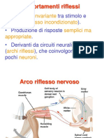 Riflessi e Motivazioni PDF