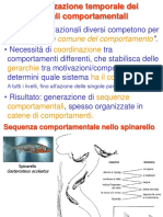 Organizzazione Comp. e Conflitti PDF