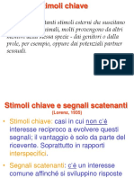 5. Comunicazione.pdf
