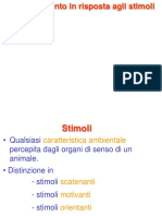 4. Stimoli.pdf