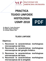 Usmp Practica - Tejidos Linfoides -2018