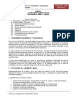 194281697-Guia-Practica-N-5-Evaluacion-de-muneca-y-mano.pdf