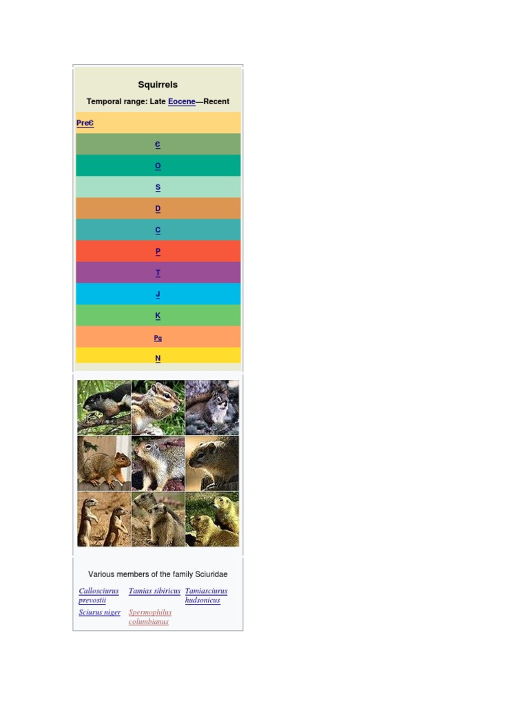 Overview of Squirrel Species and Classification | PDF