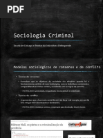 4 Sociologia Criminal Escola de Chicago e Teorias Da Subcultura Delinquente