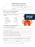 Teste CN 6 Respiratorio