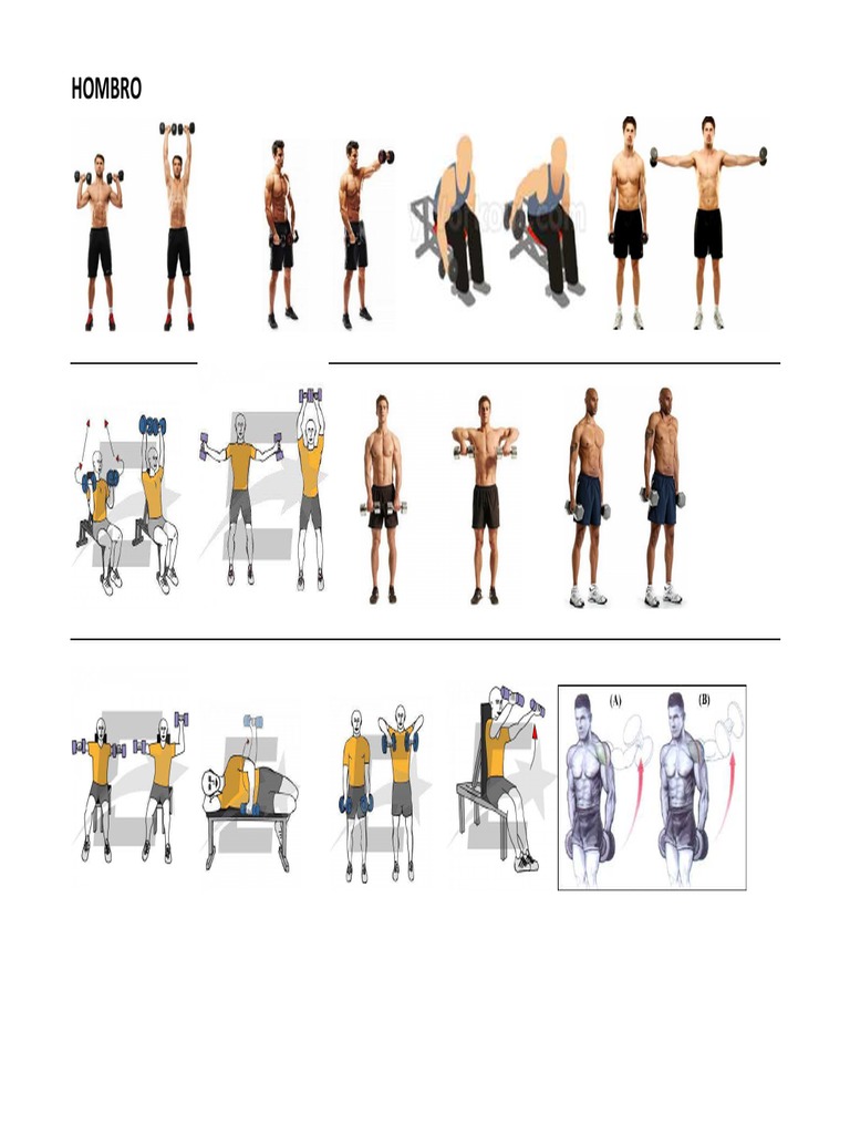Hacer Ejercicio Ejercicios Con Mancuernas En Casa Pdf