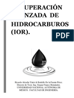 Recuperación Avanzada de Hidrocarburos (IOR).pdf