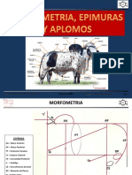 Morfometria y EPMURAS