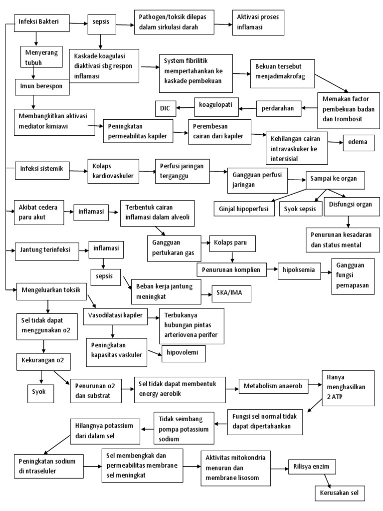 Pathway dan Patofisiologi Syok Sepsis | PDF