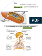 Funció respiratòria dossier