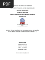 Proyecto Papas Congeladas