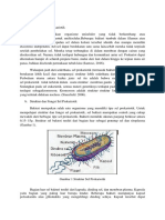 Makalah Ane. Sel Prokariotik