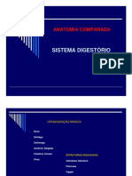 Digestório slide bom.pdf