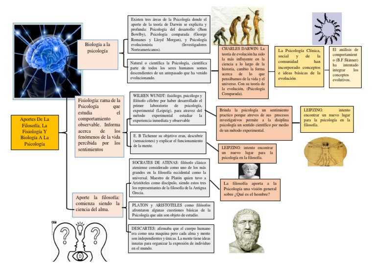 Cuadro Sinóptico Evolución Psicología