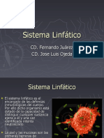 Sistema Linfatico