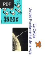 Celula Completa PDF