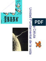 Celula Completa PDF