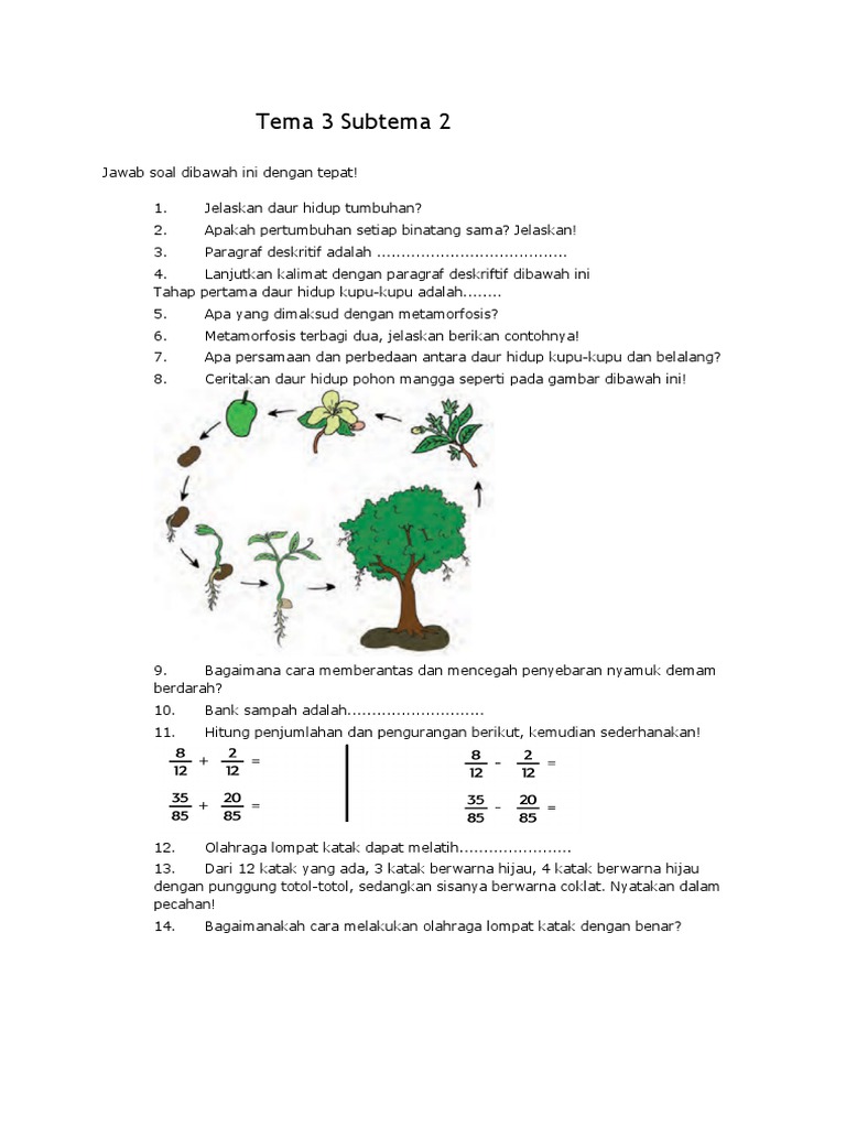 Tema 3 Subtema 2 Pdf
