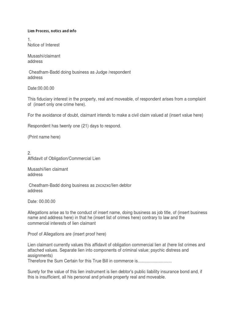 Lien Process and Enforcement Guide | PDF | Judgment (Law) | Notary Public