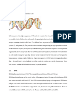 DNA and Protein Structure Explained by Central Dogma