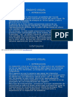 ENSAYO_VISUAL_Parte_1.pdf