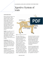 Digestive System of Goats