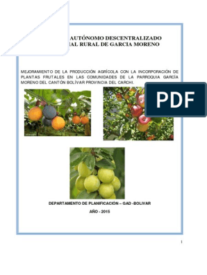 Proyecto Plantas Frutales | PDF | Fertilizante | Suelo