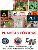 plantas-toxicas
