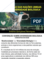 Convenção Sobre BioDiversiDade