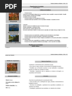 Aprender Com Auto No Mia