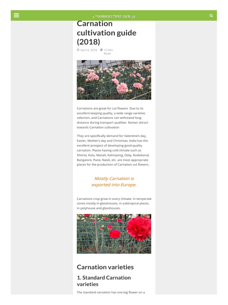 Carnation Cultivation PDF PDF Soil Fertilizer