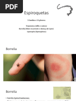 Espiroquetas
