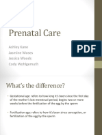 Prenatal Care - Community