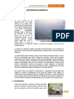 Monografia Contaminacion Ambiental