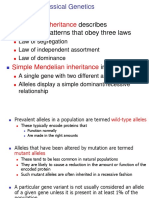 3 Inheritance Types