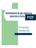 Deshidratacion de Gas Natural Por Adsorcion en Lecho Fijo