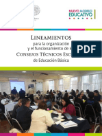 LineamientosCTE2017-18.pdf