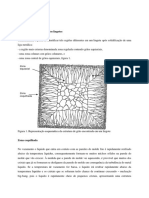 Estrutura de solidificação de lingotes e seus defeitos