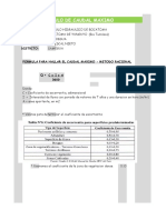 Calculo de Caudal Maximo