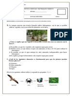 Prueba Diagnóstico Ciencias Naturales Sexto