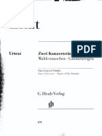 Liszt Konzertetüden