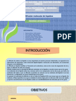 Difusión molecular en líquidos: procesos y leyes