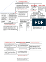 Mapa Conceptual