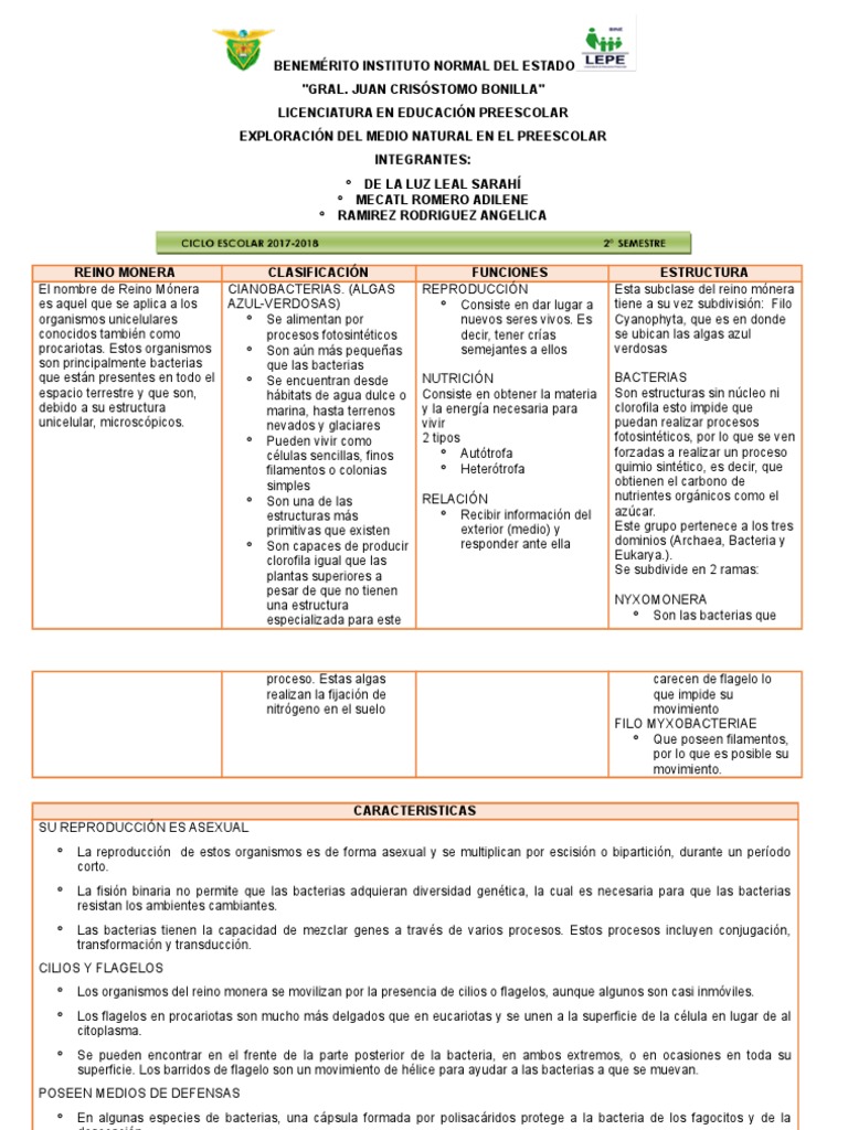 Cuadro Reino Monera | PDF | Las bacterias | Algas